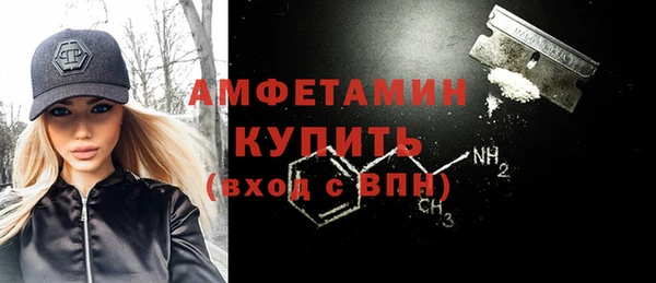 СК Алексин