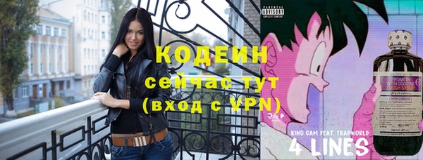 мдпв Осинники