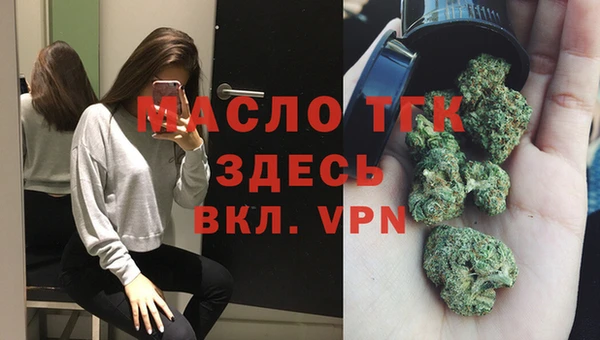 СК Алексин