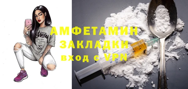 СК Алексин