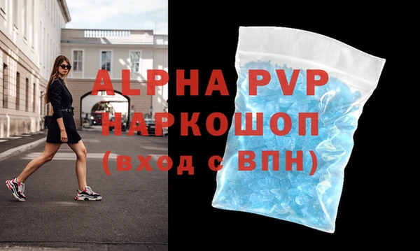 СК Алексин