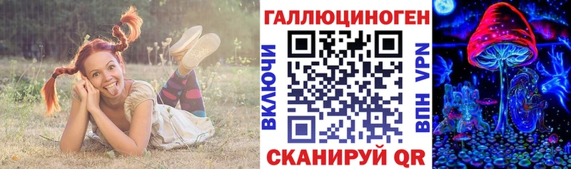 mega сайт  Макушино  Псилоцибиновые грибы мицелий 